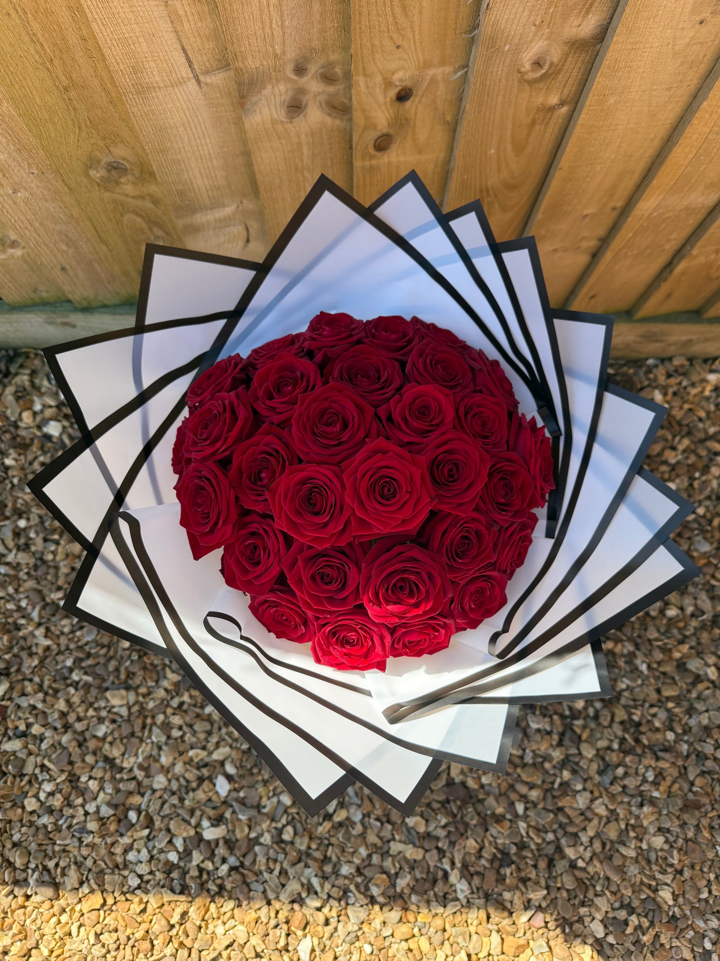 Red Desire Roses