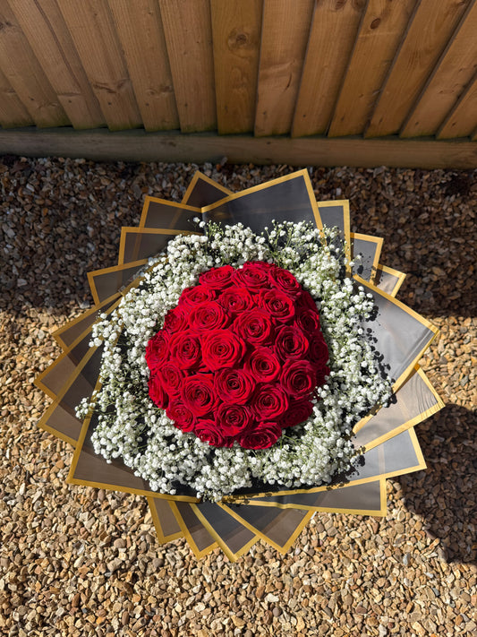 Red Obsession Roses with Gyp Border